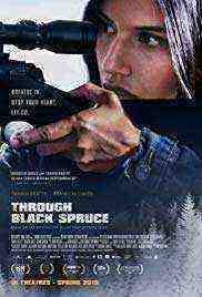 Through Black Spruce (2018) 