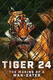 Tiger 24 (2022)