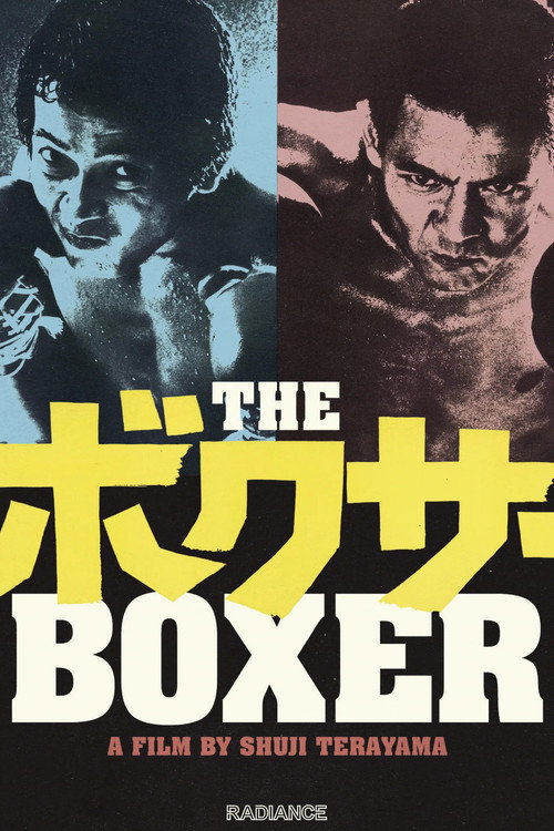The Boxer (1977)