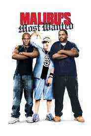 Malibu's Most Wanted (2003)