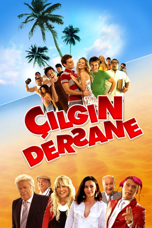 The Class (2007)