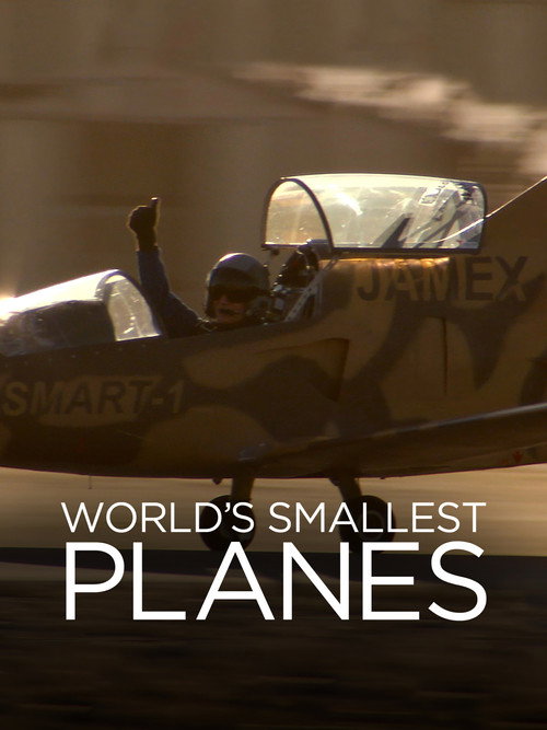 World's Smallest Planes (2007)