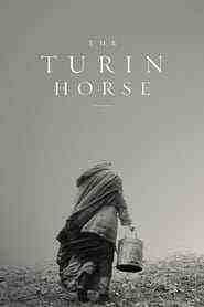 The Turin Horse (2011)