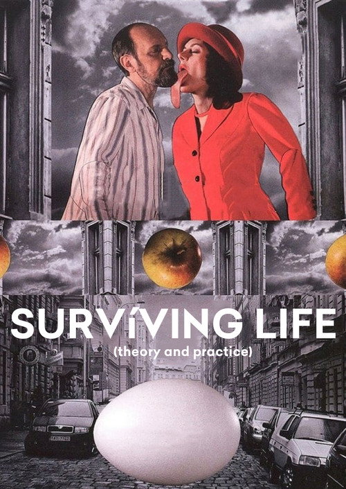 Surviving Life (2010)