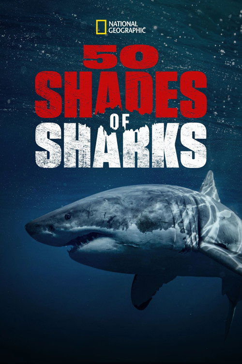 Cinquante nuances de requins (2021)