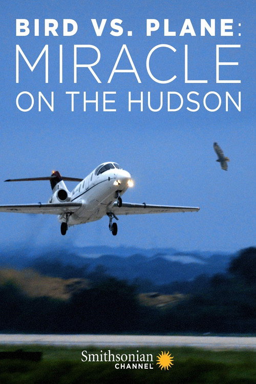 Bird vs. Plane: Miracle on the Hudson (2018)
