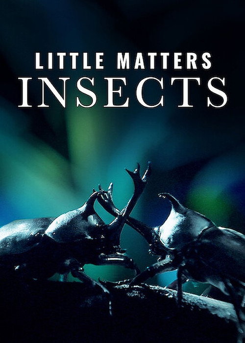 Little Matters: Insects (2014)