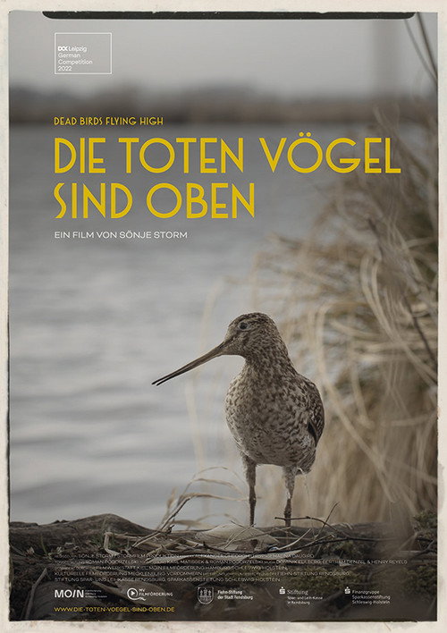 Die toten Vögel sind oben (2022)