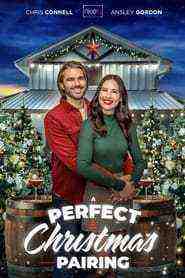 A Perfect Christmas Pairing (2023)