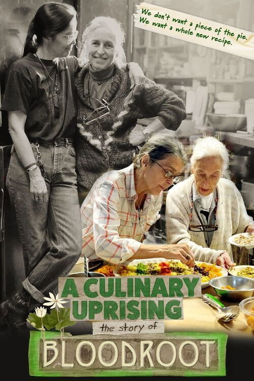 A Culinary Uprising: The Story of Bloodroot (2026)