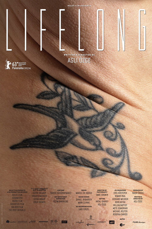 Lifelong (2013)