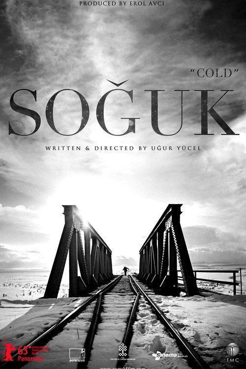 Soguk (2013)