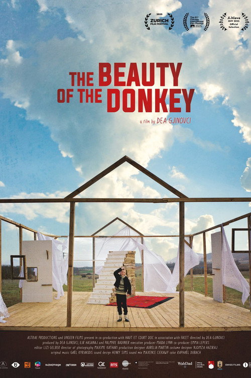 The Beauty of the Donkey (2025)