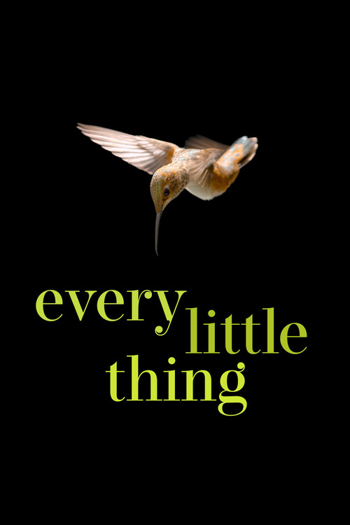 Every Little Thing (2024)
