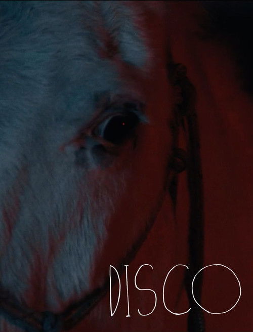 Disco (2025)
