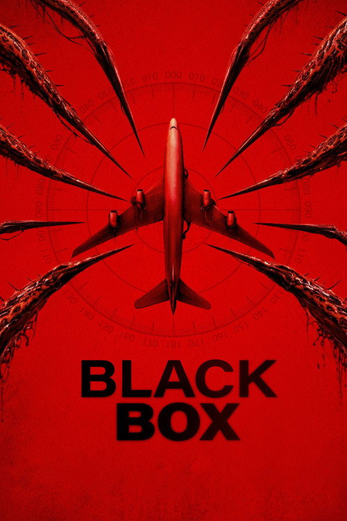 Black Box (2026)