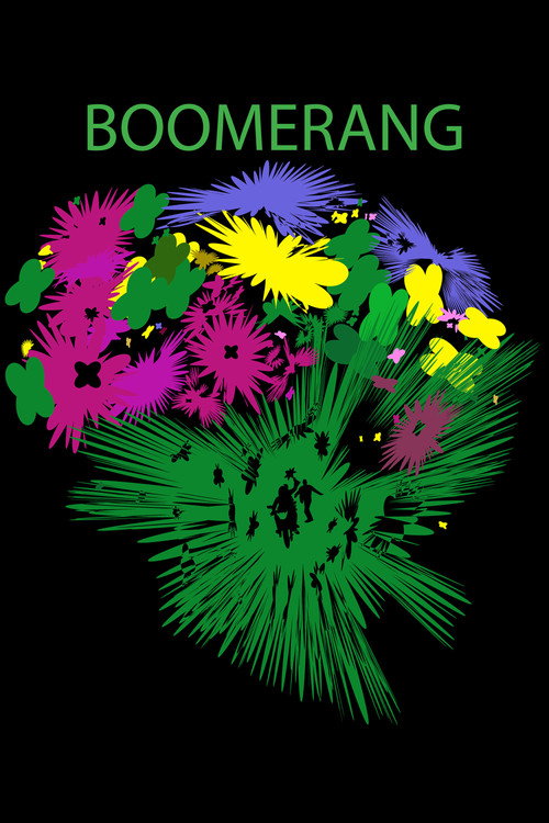 Boomerang (2024)