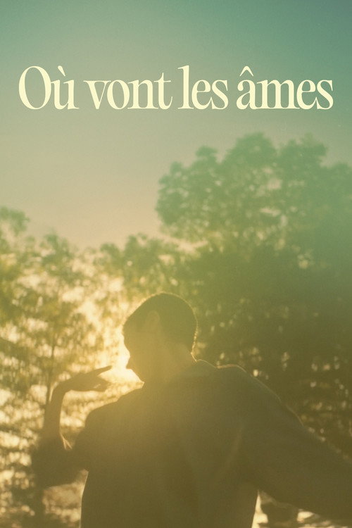 Où vont les âmes? (2025)
