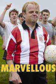 Marvellous (2014)