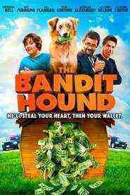 The Bandit Hound (2016)