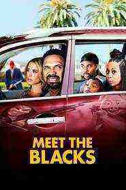 Meet the Blacks (2016)