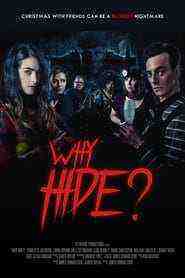 Why Hide? (2017)