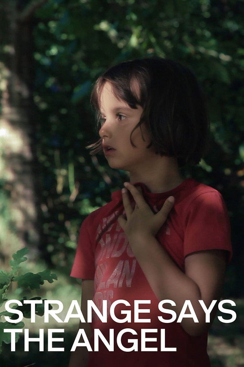 Étrange dit l'ange (2017)