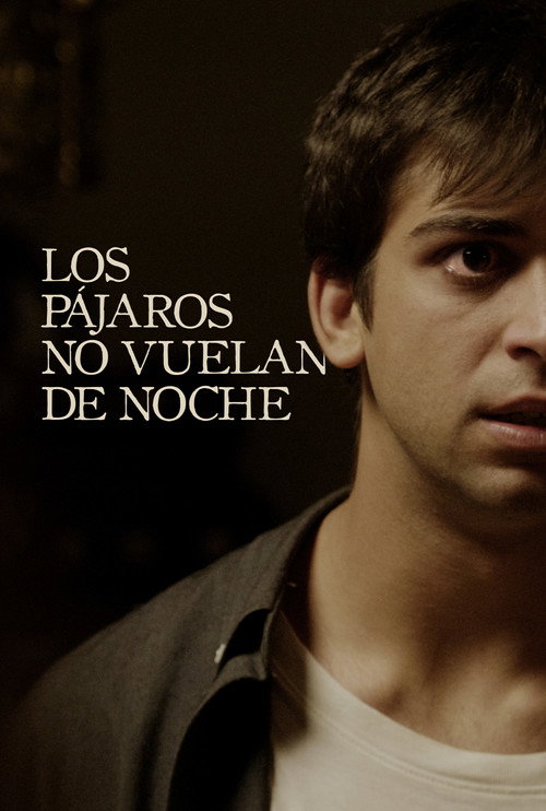 Los pájaros no vuelan de noche (2020)