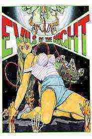Evils of the Night (1985)