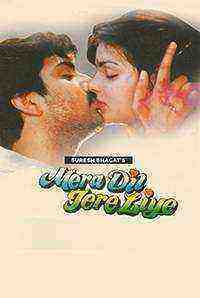 Mera Dil Tere Liye (1992)