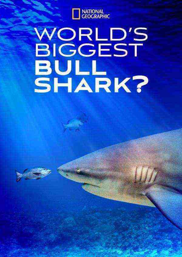 World's Biggest Bull Shark? (2021)