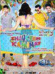 Shaukeen Kaminay (2016)