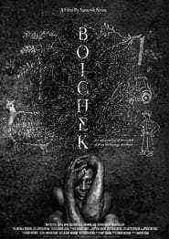 Boichek (2017)
